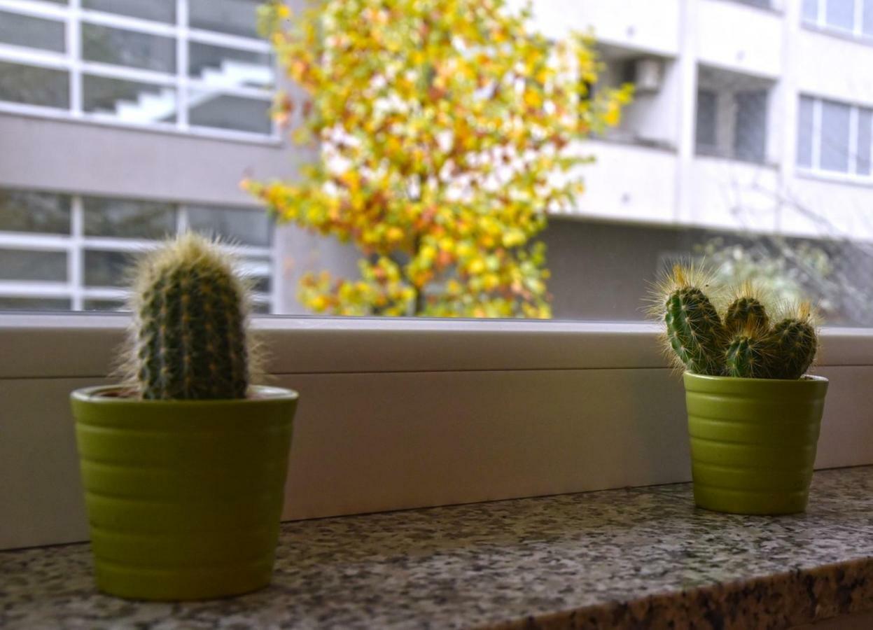 Apartments Dora ซาเกร็บ ภายนอก รูปภาพ